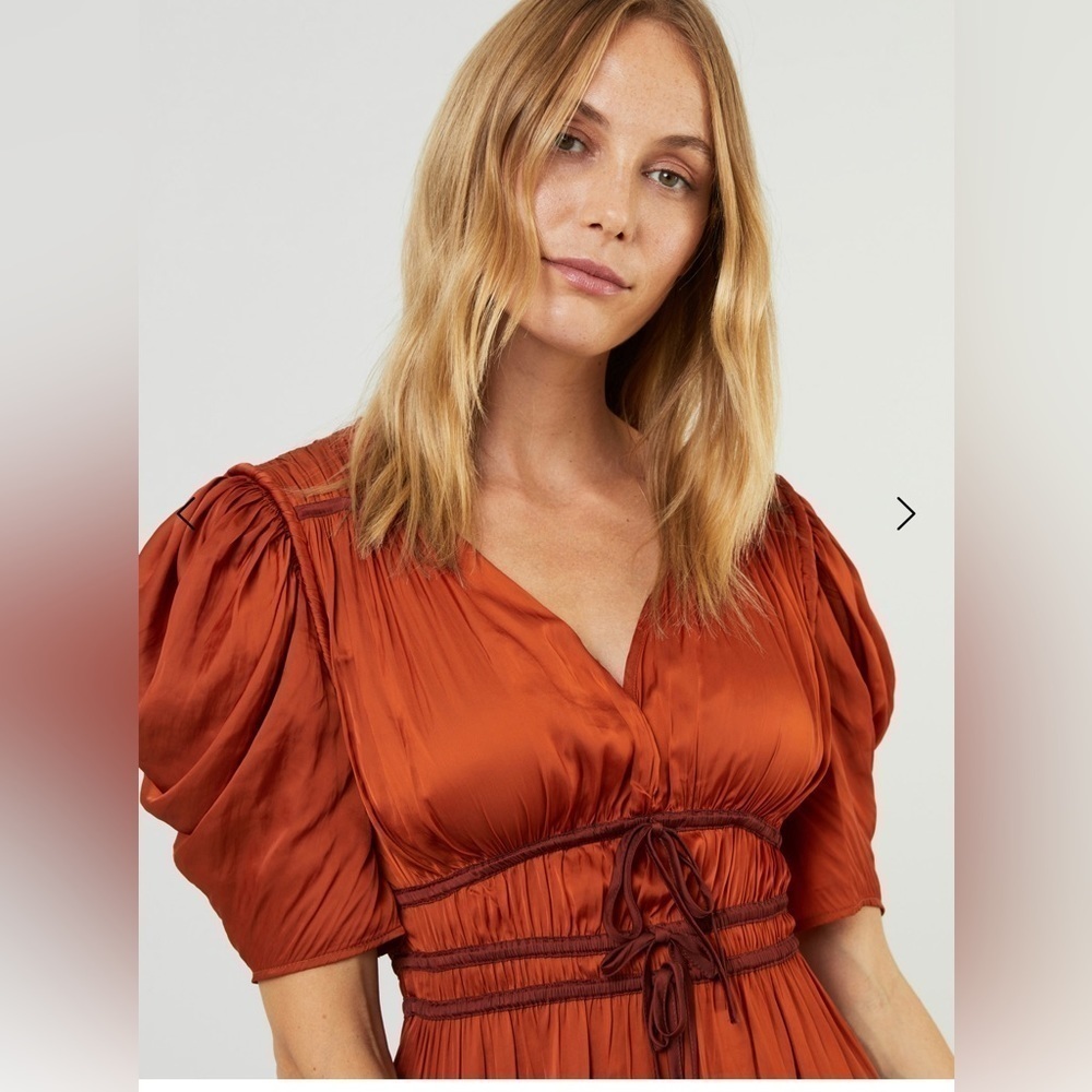 ULLA JOHNSON Azaria Dress in Agate 2 - Picture 2 of 13